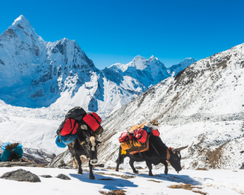 Ama-Dablam Expedition