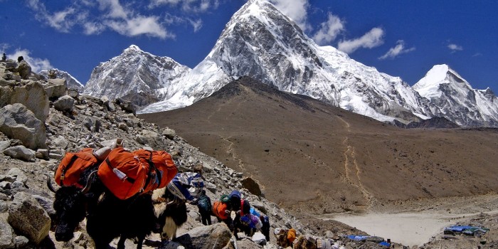 Family treks in the Everest region